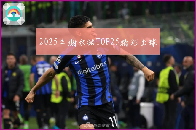 2025年谢尔顿TOP25精彩击球