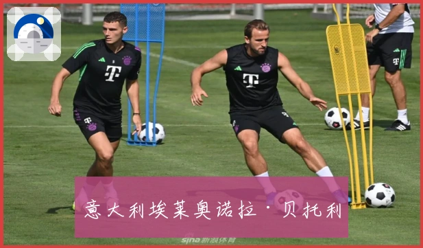 意大利埃莱奥诺拉·贝托利