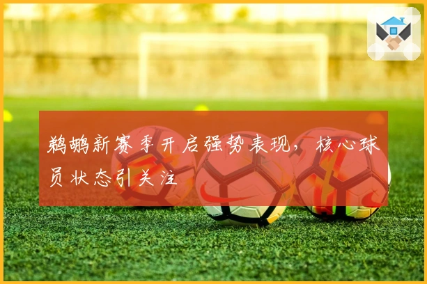 鹈鹕新赛季开启强势表现，核心球员状态引关注