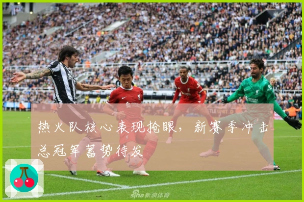 热火队核心表现抢眼，新赛季冲击总冠军蓄势待发