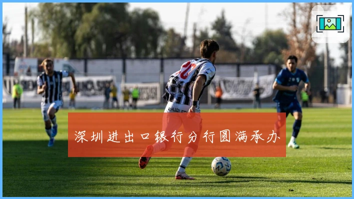 深圳进出口银行分行圆满承办