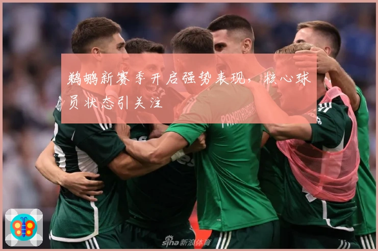 鹈鹕新赛季开启强势表现，核心球员状态引关注