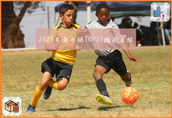 2025年谢尔顿TOP25精彩击球