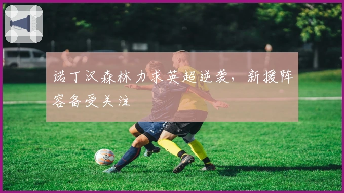 诺丁汉森林力求英超逆袭，新援阵容备受关注