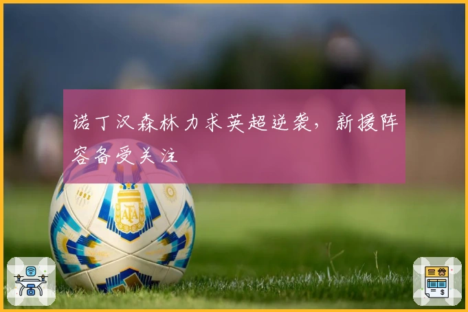 诺丁汉森林力求英超逆袭，新援阵容备受关注